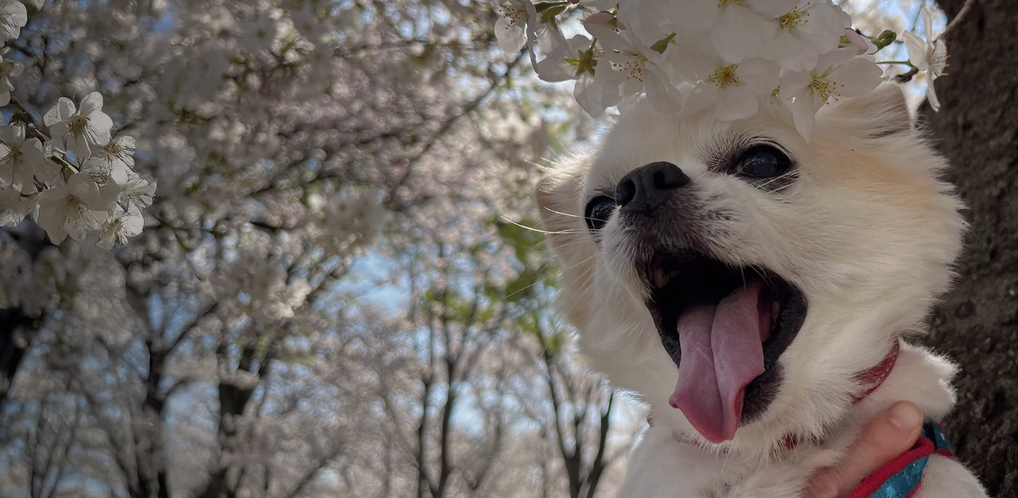 メインビジュアル